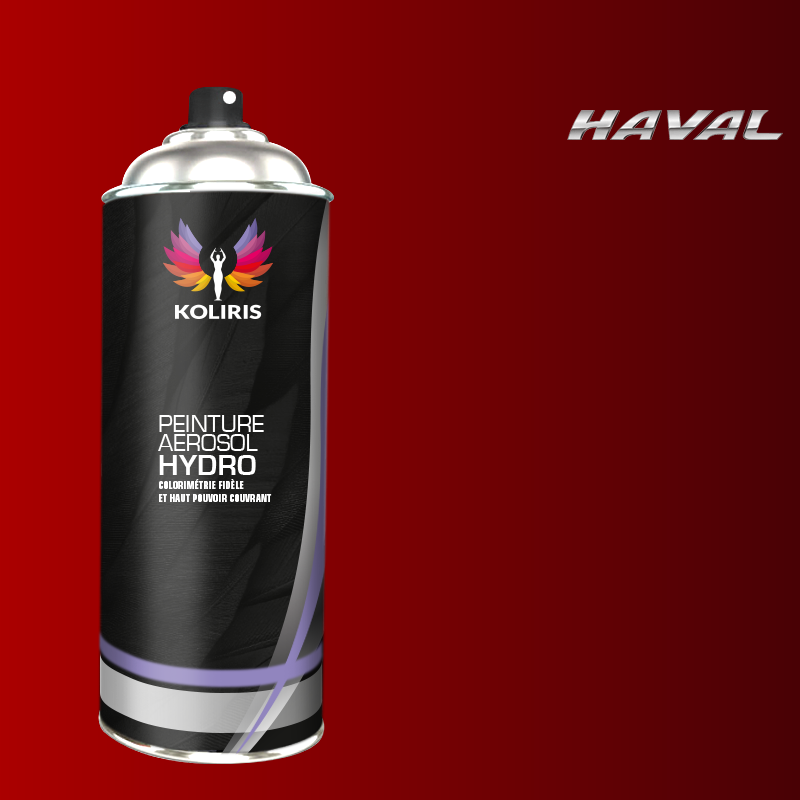 Bombe de peinture voiture hydro Haval - Koliris