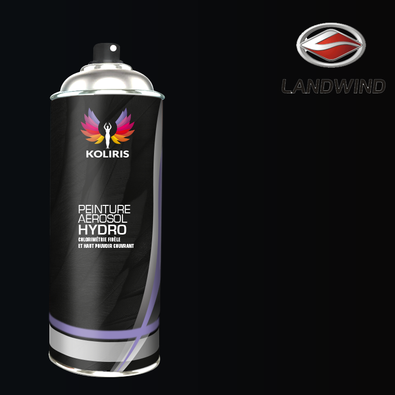 Bombe de peinture voiture Landwind