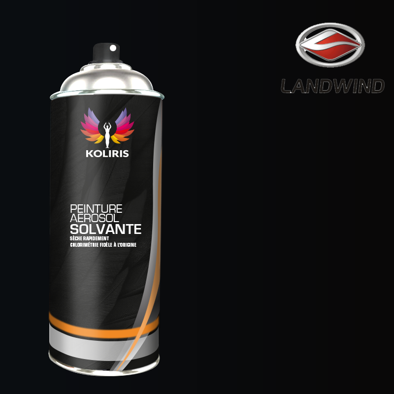 Bombe de peinture voiture solvant Landwind