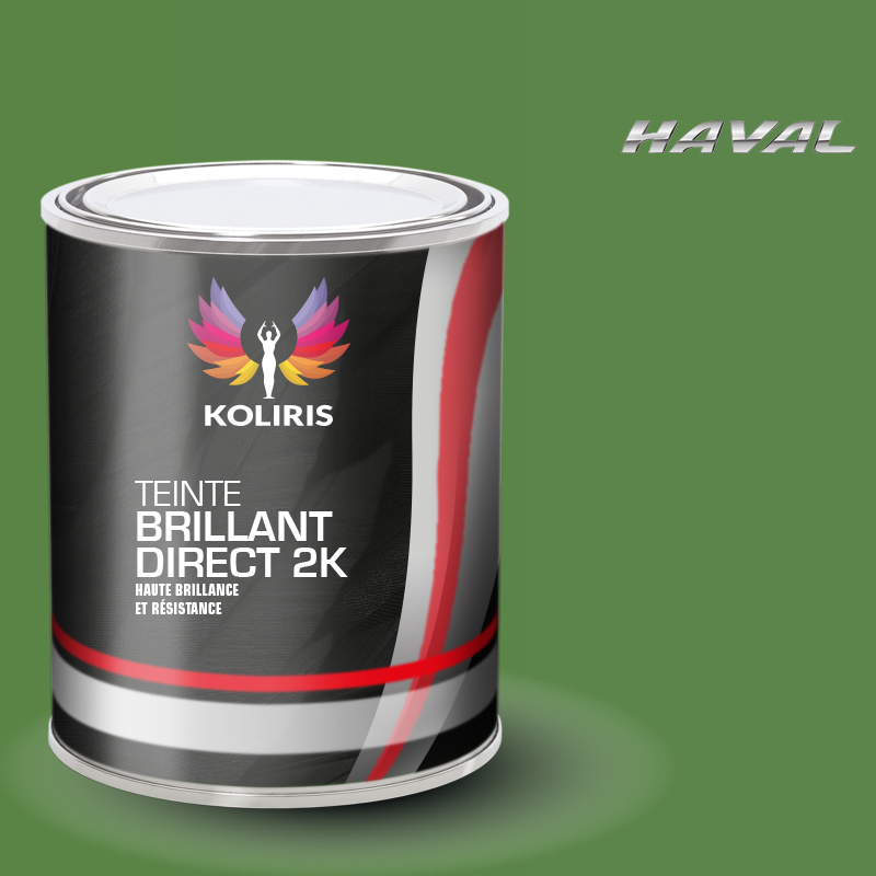 Peinture voiture brillant direct VOC420 Haval - Carenciel