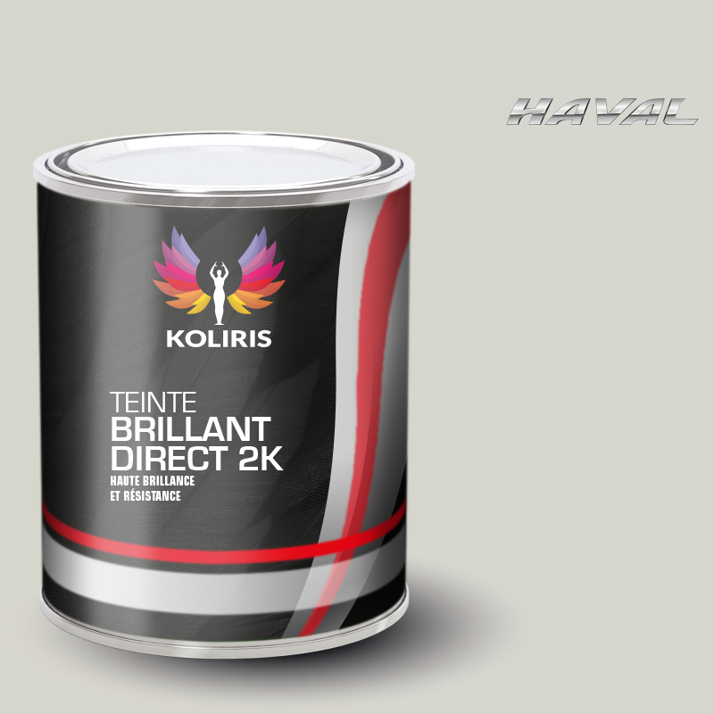 Peinture voiture brillant direct VOC420 Haval - Carenciel