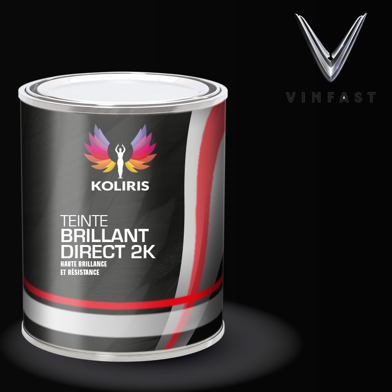 Peinture voiture brillant direct Vinfast - Koliris
