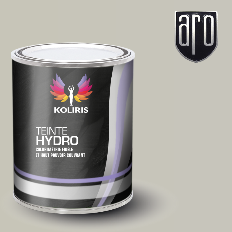 Peinture voiture hydro Aro - Koliris