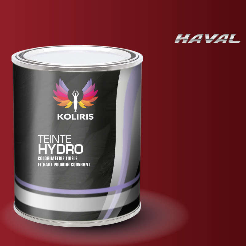Peinture voiture hydro Haval - Koliris