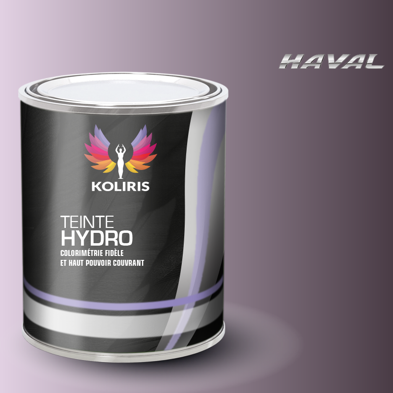Peinture voiture hydro Haval - Koliris