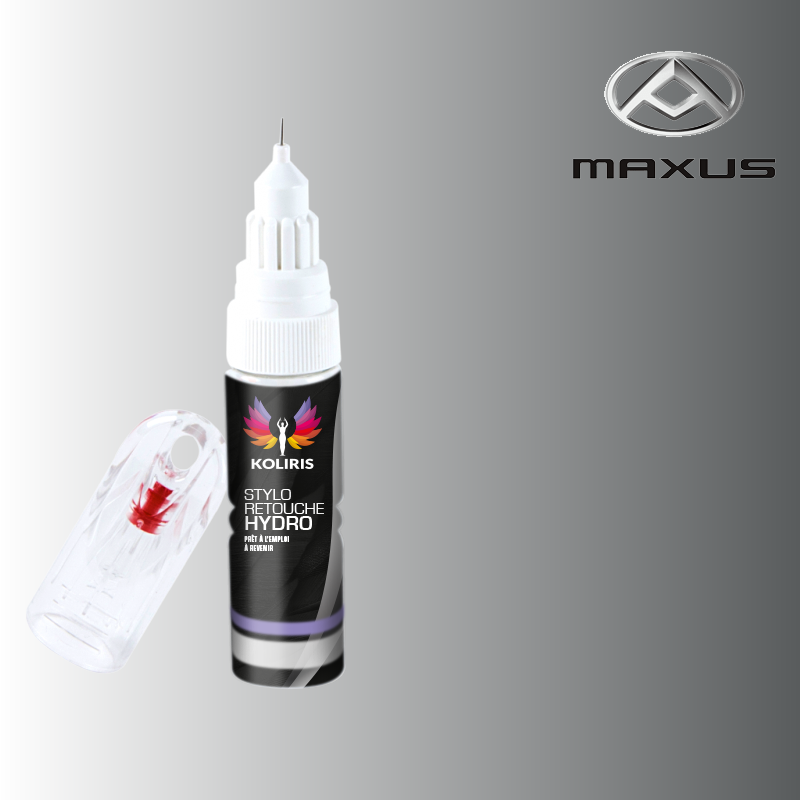 Stylo retouche peinture utilitaire Maxus - Carenciel.pro