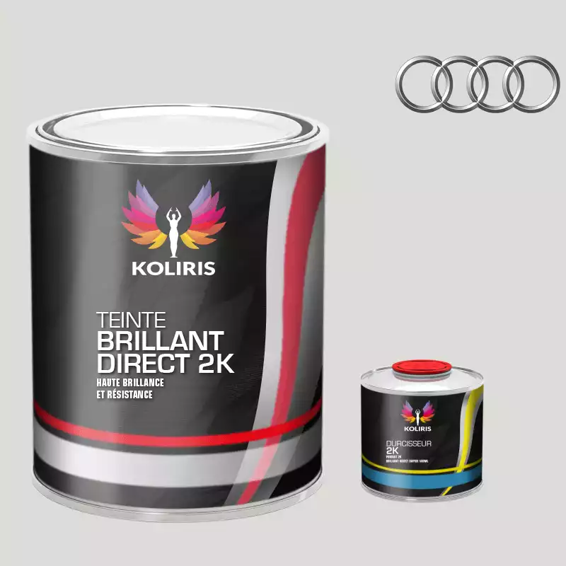 Kit peinture et durcisseur voiture brillant direct VOC420 Audi