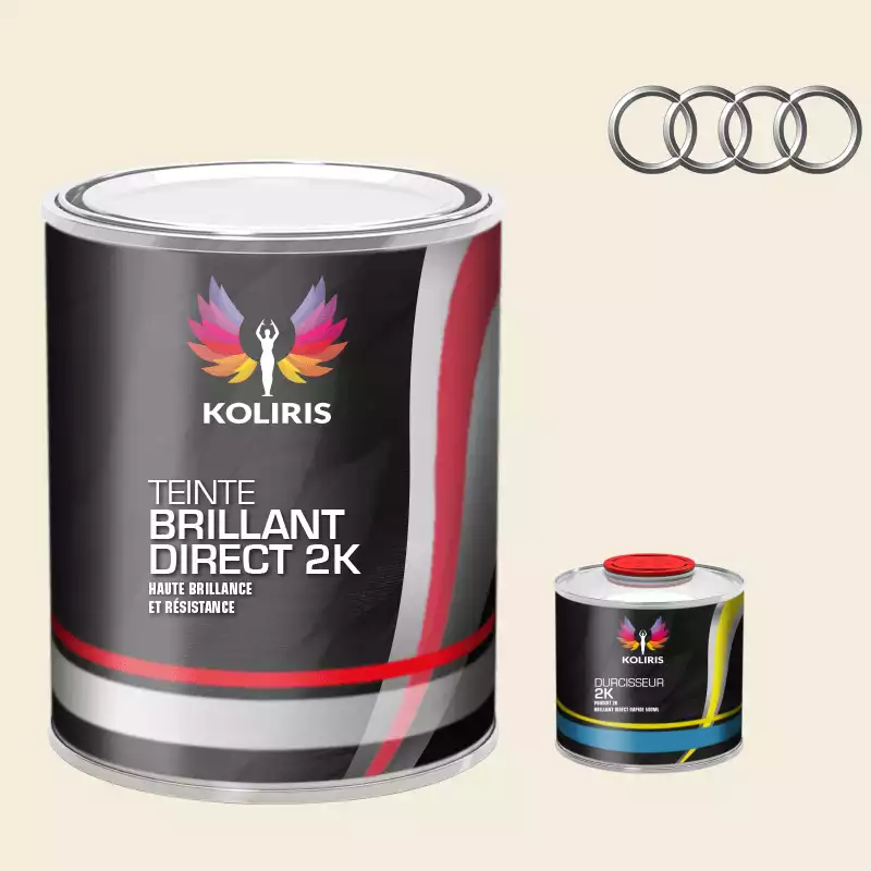 Kit peinture et durcisseur voiture brillant direct VOC420 Audi