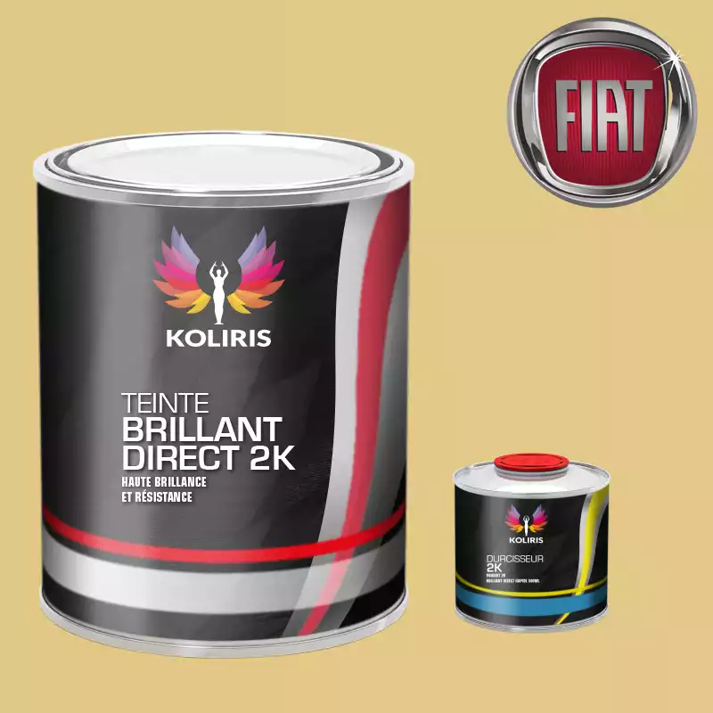 Kit peinture et durcisseur voiture brillant direct VOC420 Fiat