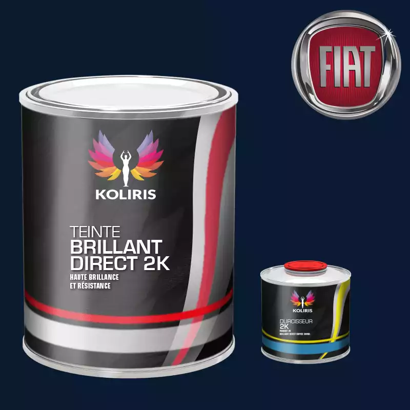 Kit peinture et durcisseur voiture brillant direct VOC420 Fiat