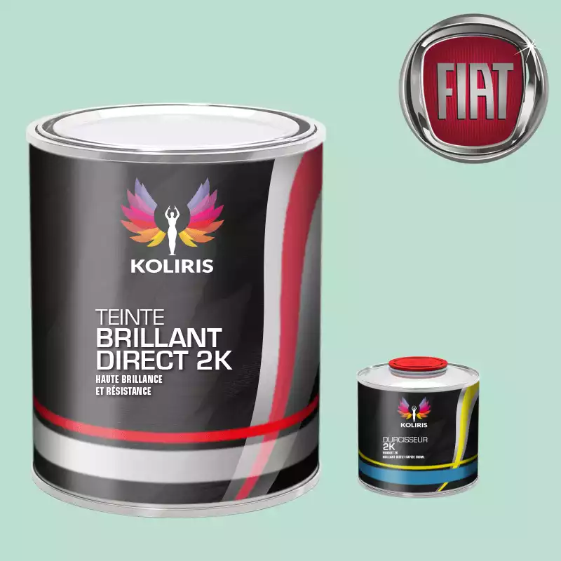Kit peinture et durcisseur voiture brillant direct VOC420 Fiat