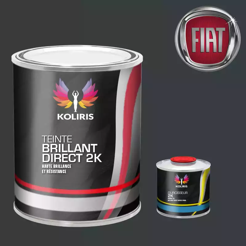 Kit peinture et durcisseur voiture brillant direct VOC420 Fiat