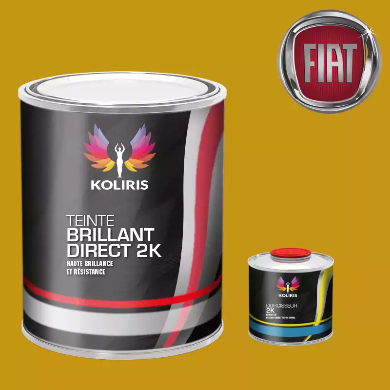 Kit peinture et durcisseur voiture brillant direct VOC420 Fiat