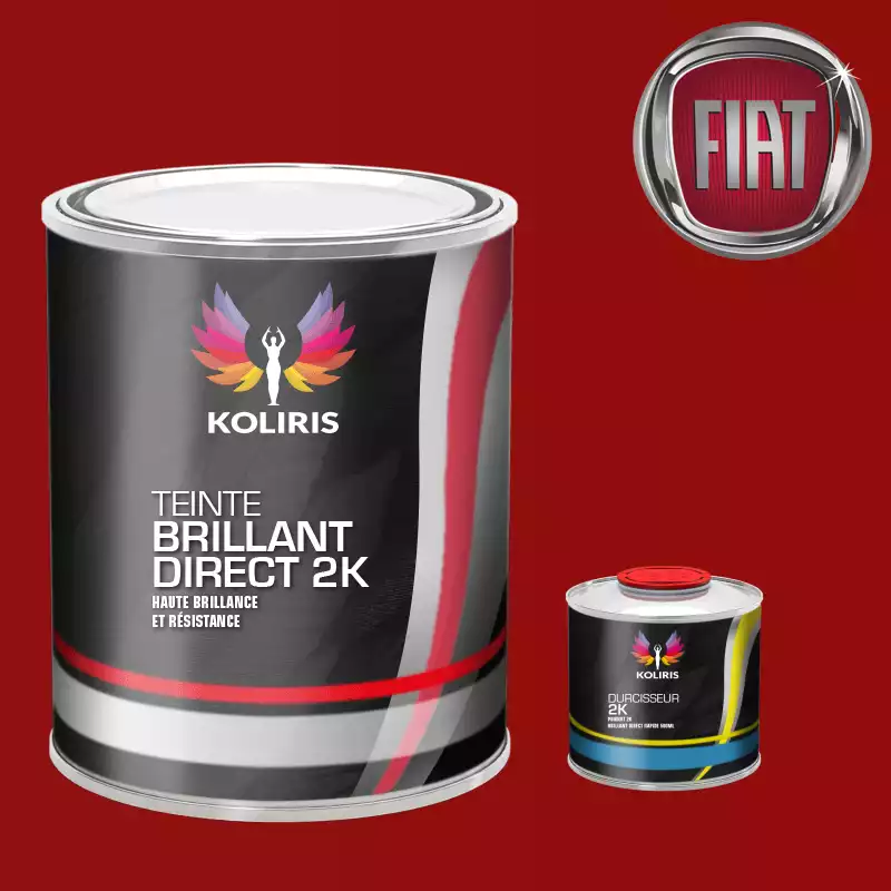 Kit peinture et durcisseur voiture brillant direct VOC420 Fiat