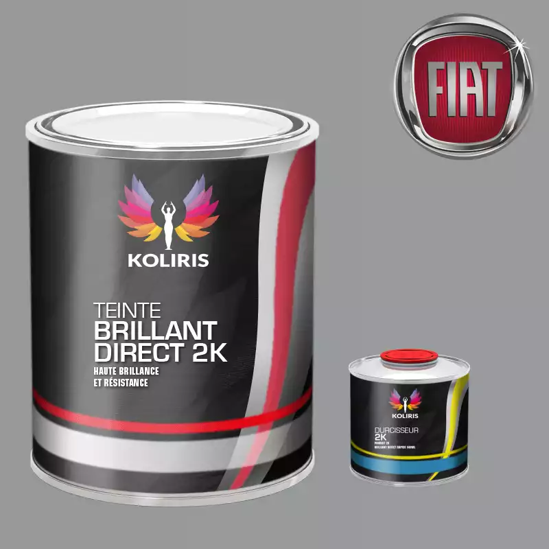 Kit peinture et durcisseur voiture brillant direct VOC420 Fiat