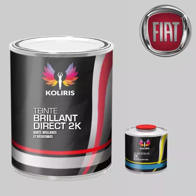 Kit peinture et durcisseur voiture brillant direct VOC420 Fiat