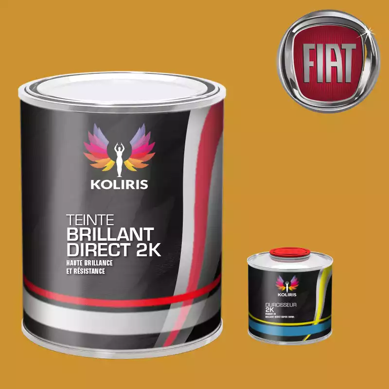 Kit peinture et durcisseur voiture brillant direct VOC420 Fiat