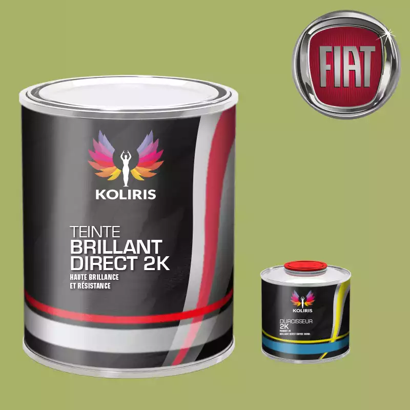 Kit peinture et durcisseur voiture brillant direct VOC420 Fiat