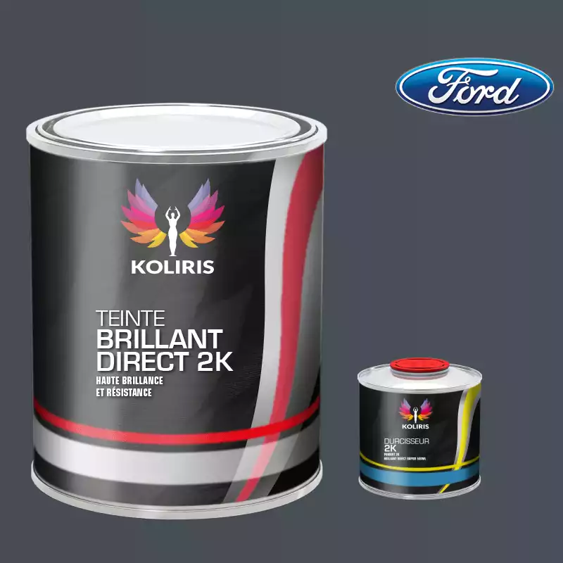 Kit peinture et durcisseur voiture brillant direct VOC420 Ford