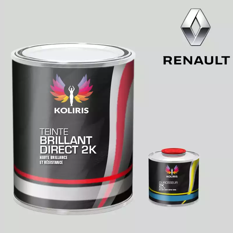Kit peinture et durcisseur voiture brillant direct VOC420 Renault