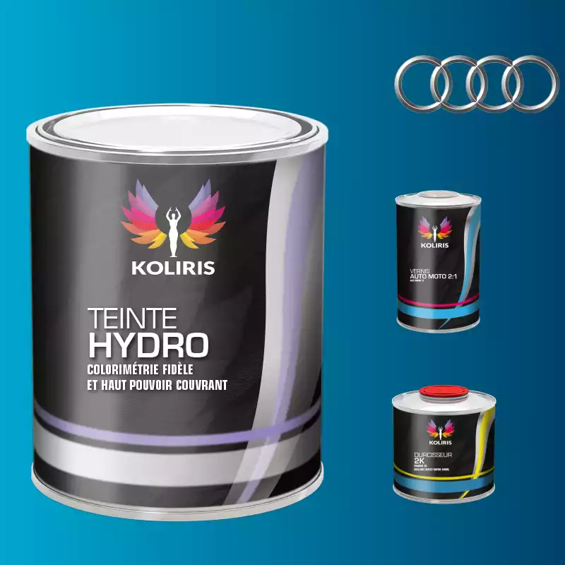 Kit peinture et vernis voiture hydro Audi