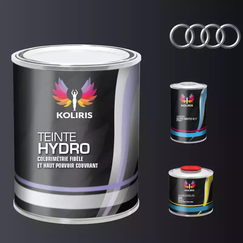 Kit peinture et vernis voiture hydro Audi