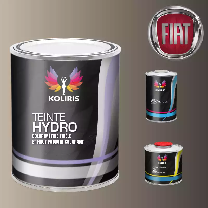 Kit peinture et vernis voiture hydro Fiat