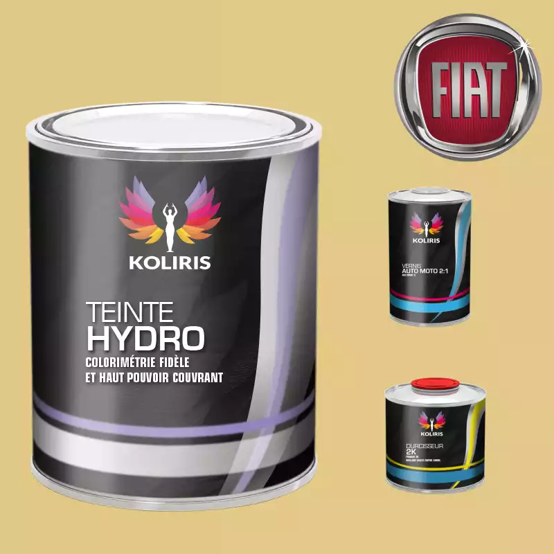 Kit peinture et vernis voiture hydro Fiat