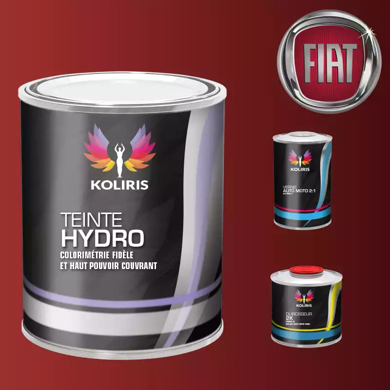 Kit peinture et vernis voiture hydro Fiat