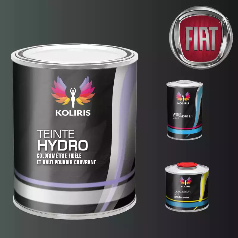 Kit peinture et vernis voiture hydro Fiat