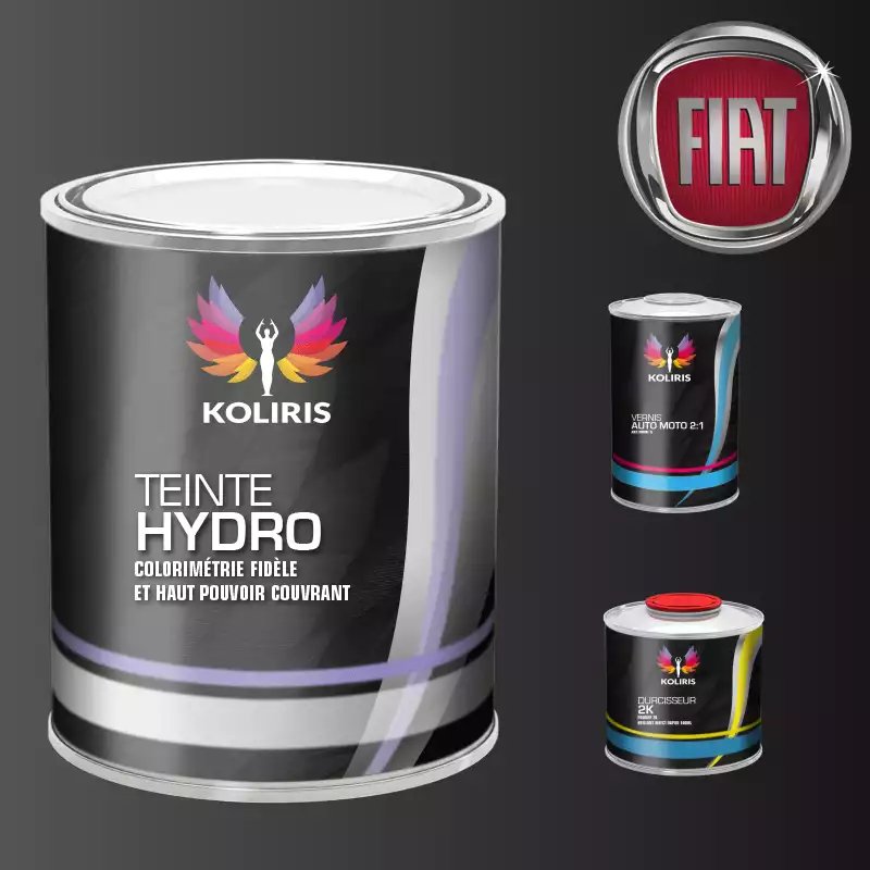 Kit peinture et vernis voiture hydro Fiat