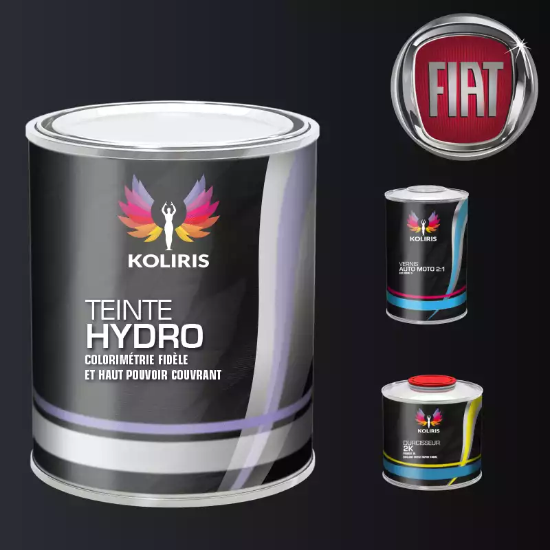 Kit peinture et vernis voiture hydro Fiat