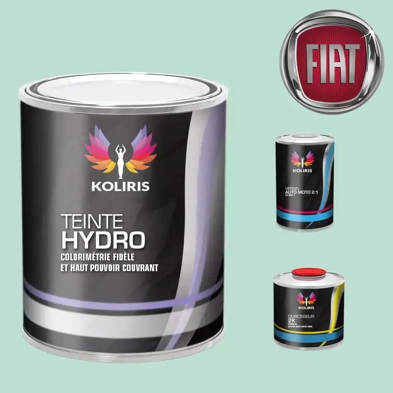 Kit peinture et vernis voiture hydro Fiat