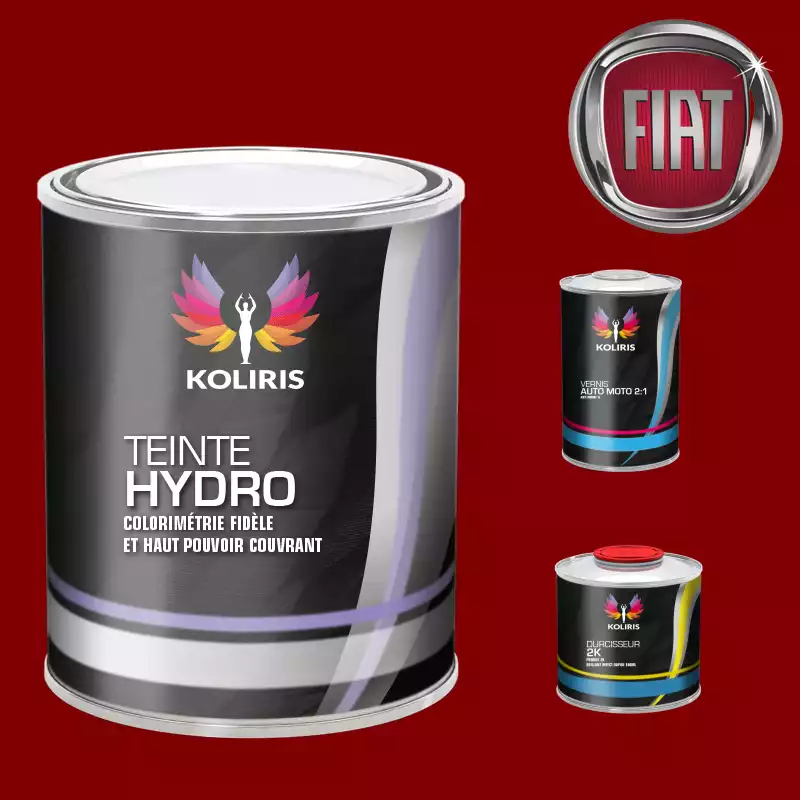 Kit peinture et vernis voiture hydro Fiat