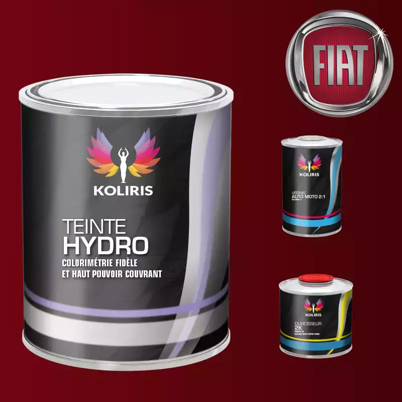 Kit peinture et vernis voiture hydro Fiat