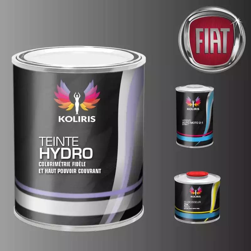 Kit peinture et vernis voiture hydro Fiat