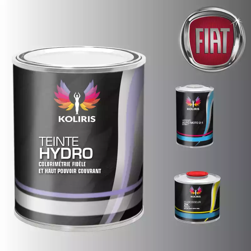 Kit peinture et vernis voiture hydro Fiat