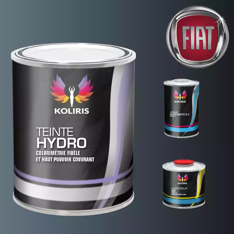 Kit peinture et vernis voiture hydro Fiat