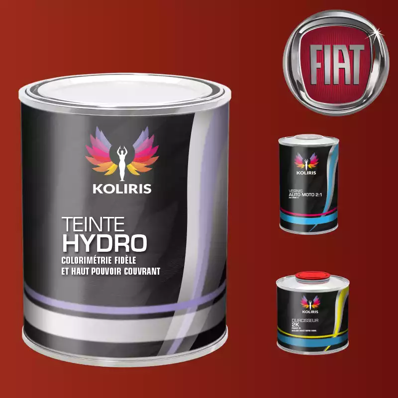 Kit peinture et vernis voiture hydro Fiat