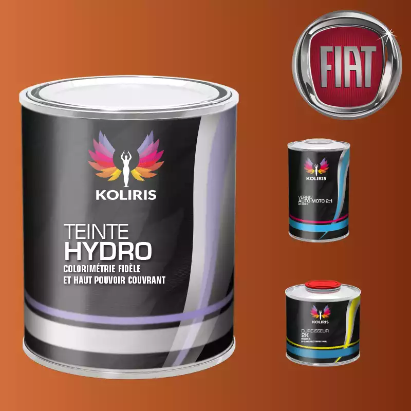 Kit peinture et vernis voiture hydro Fiat
