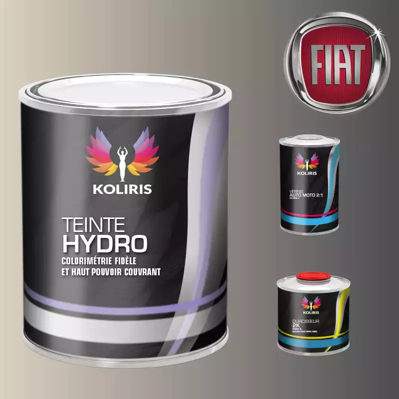 Kit peinture et vernis voiture hydro Fiat