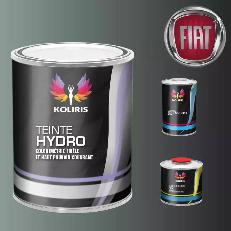 Kit peinture et vernis voiture hydro Fiat