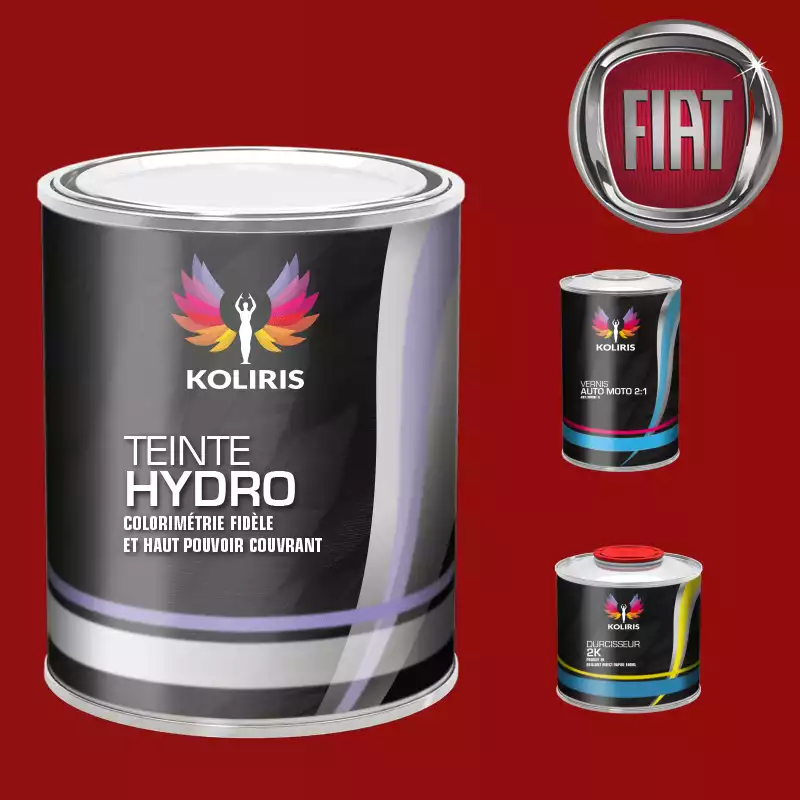 Kit peinture et vernis voiture hydro Fiat