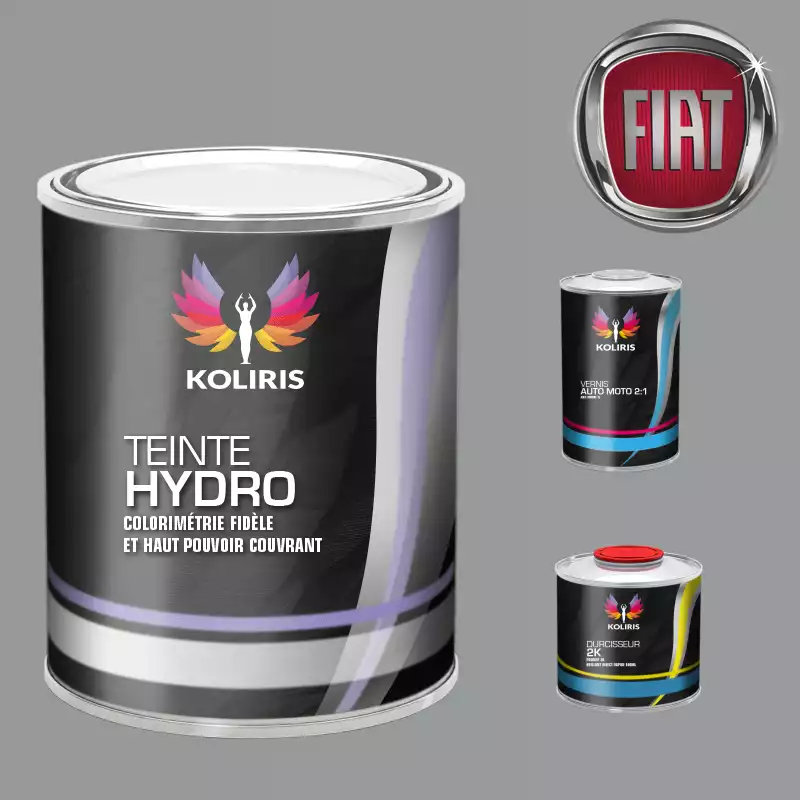 Kit peinture et vernis voiture hydro Fiat