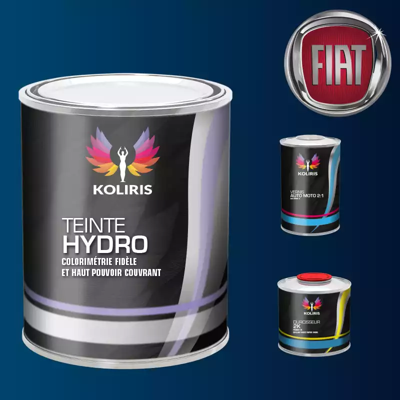 Kit peinture et vernis voiture hydro Fiat