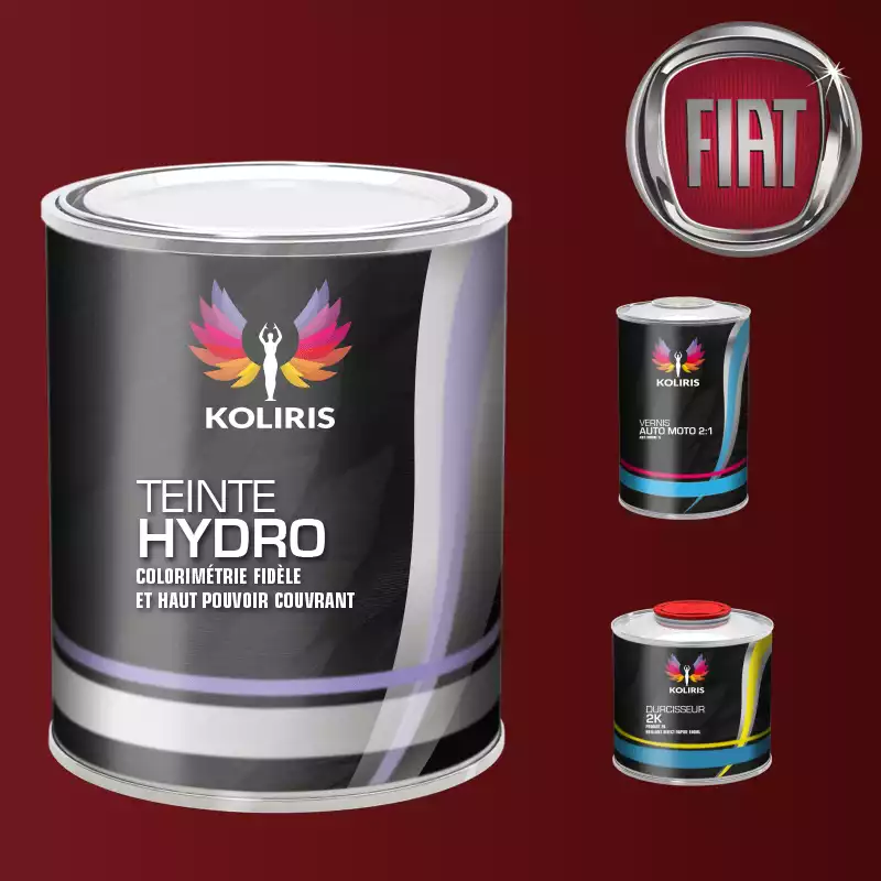 Kit peinture et vernis voiture hydro Fiat