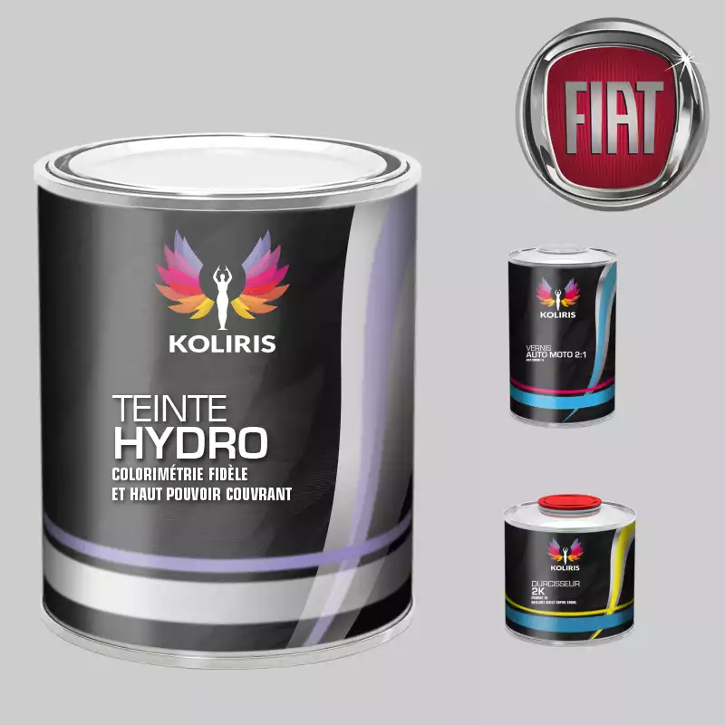 Kit peinture et vernis voiture hydro Fiat