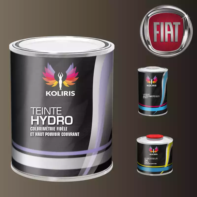 Kit peinture et vernis voiture hydro Fiat