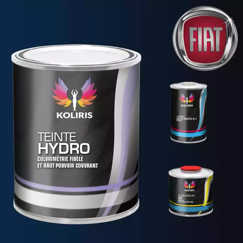 Kit peinture et vernis voiture hydro Fiat