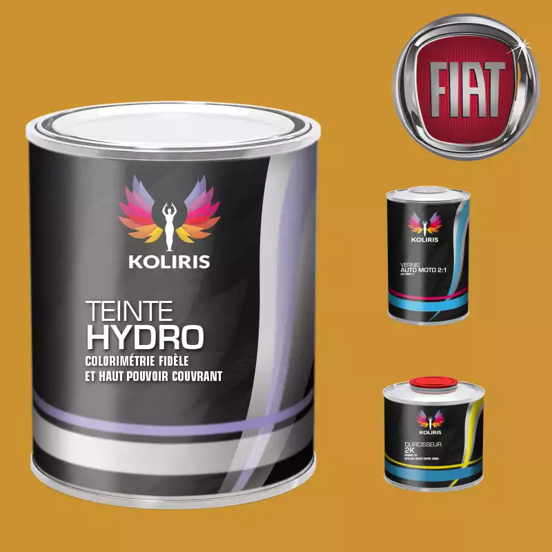 Kit peinture et vernis voiture hydro Fiat
